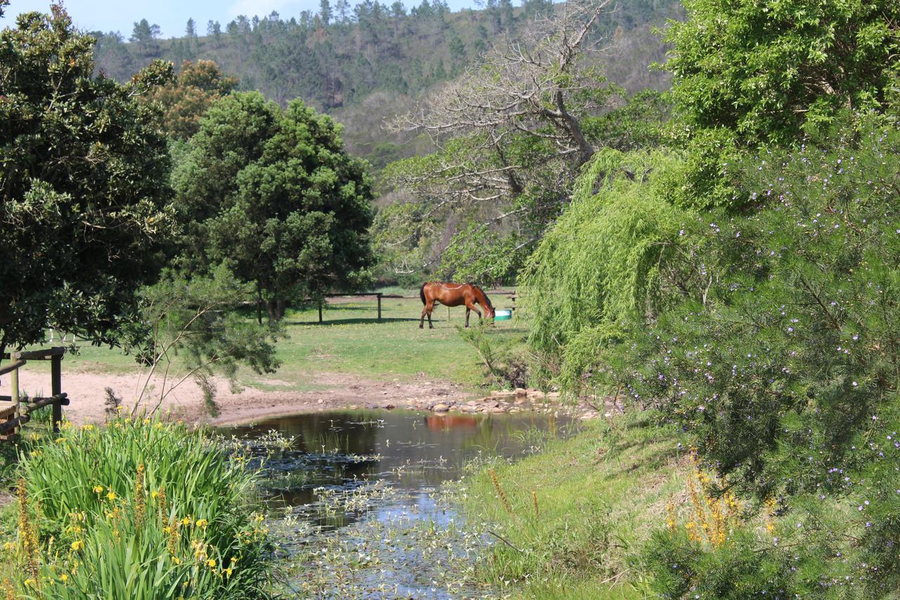 Kingfisher Cottage at Boschrivier Farm Plettenberg Bay Wittedrif Exterior foto