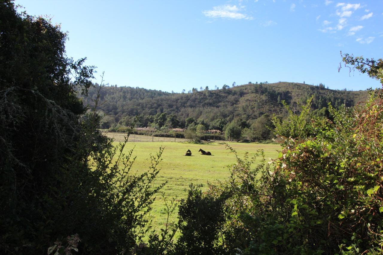 Kingfisher Cottage at Boschrivier Farm Plettenberg Bay Wittedrif Exterior foto